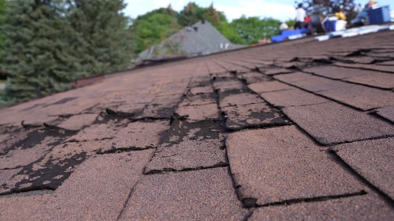 Best Wood Shake Roofing  in The Colony, TX